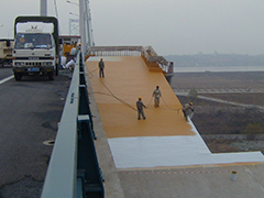 2007 Anchorage and anti-corrosion waterproof coating of Wuha