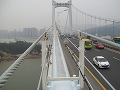 2011 Xiamen Haicang Bridge (cable painting refresh)