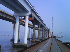 2010 - Zhujiajian Bridge concrete box girder, pier pier pain
